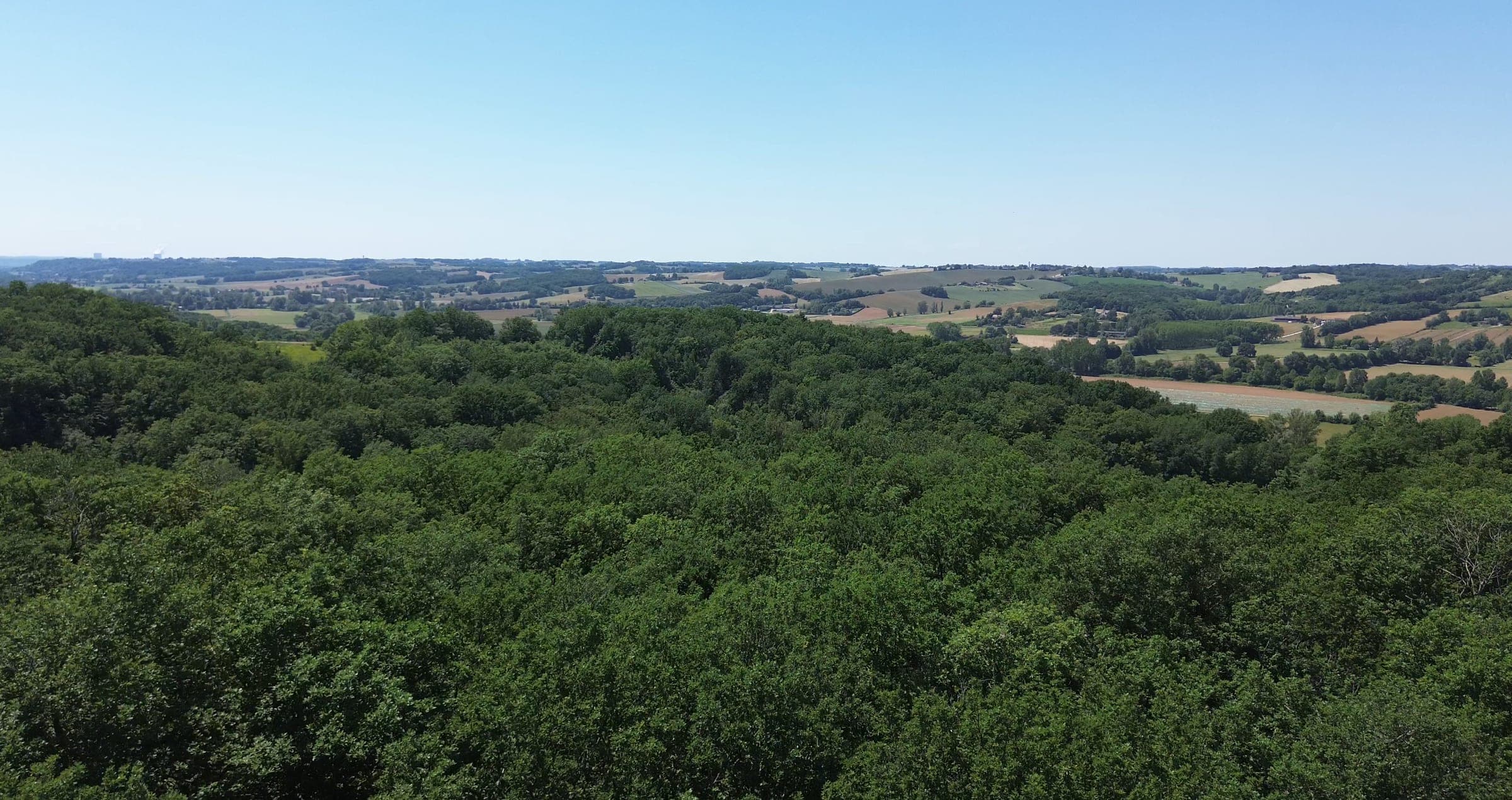 Vue aérienne d'une forêt de feuillus, avec des collines et des champs à l'horizon