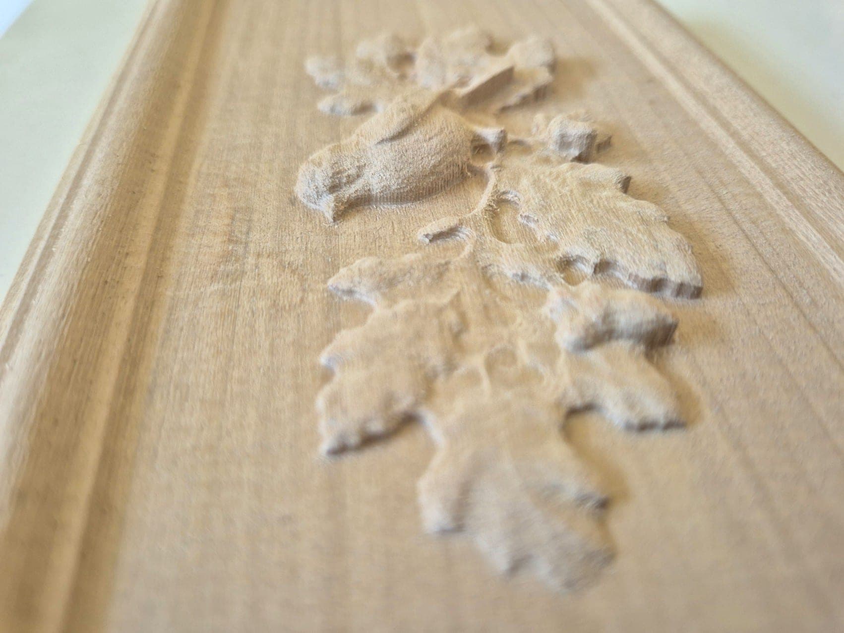 Cimaise et ses oiseaux en vue rasante : feuilles de chêne et oiseau sculptés le long de la mouluration du bord